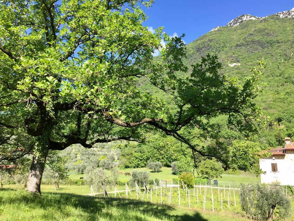 Agriturismo Cervano Тосколано-Мадерно Экстерьер фото