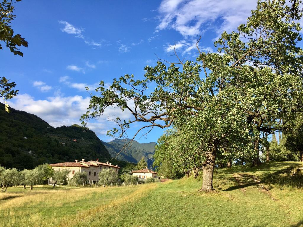 Agriturismo Cervano Тосколано-Мадерно Экстерьер фото